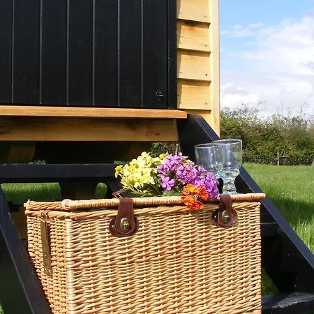 Marshwood Farm B&B And Shepherds Hut Dinton  Eksteriør bilde